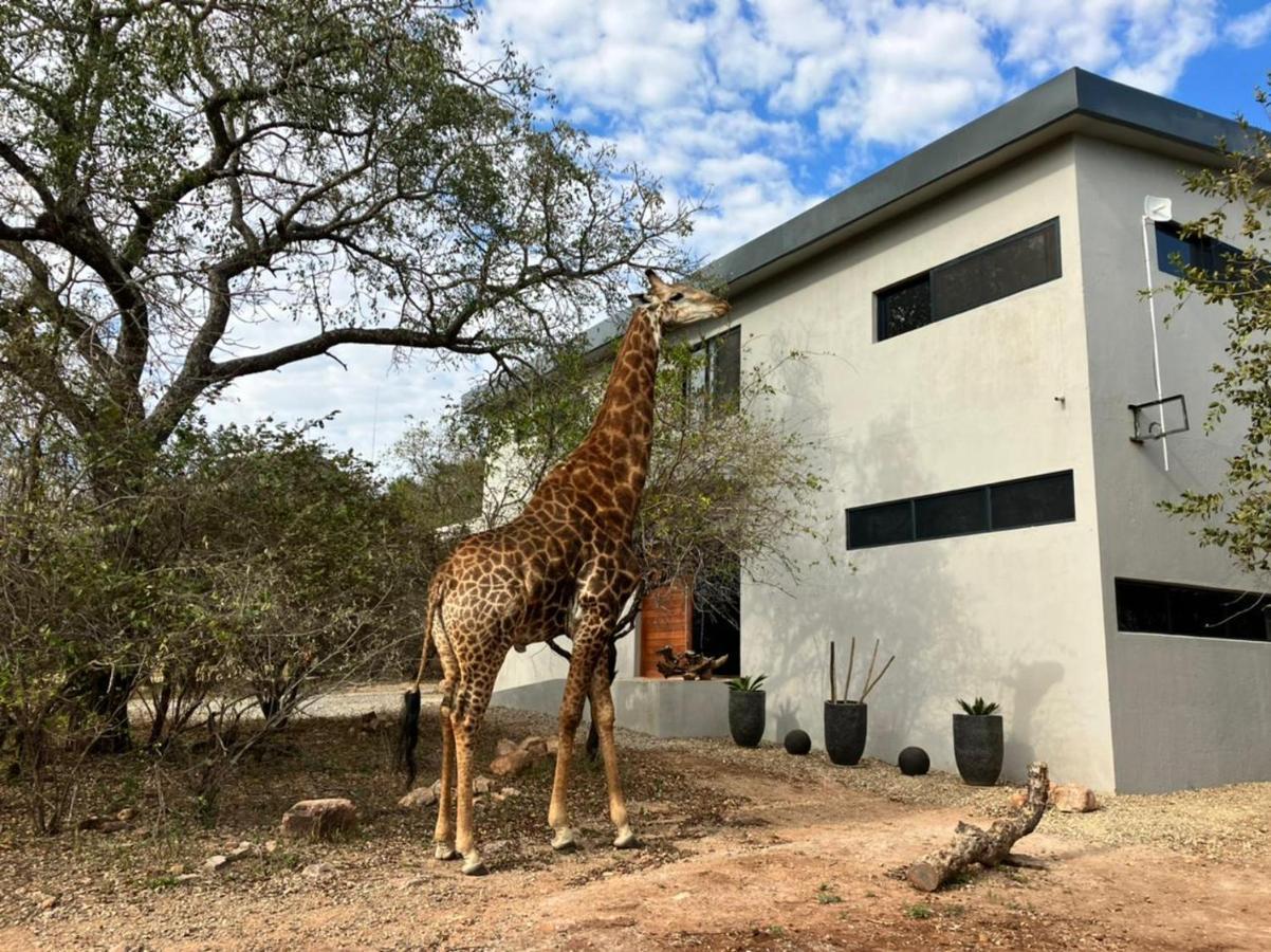 Villa Birdsong Kruger Marloth Park Exterior foto